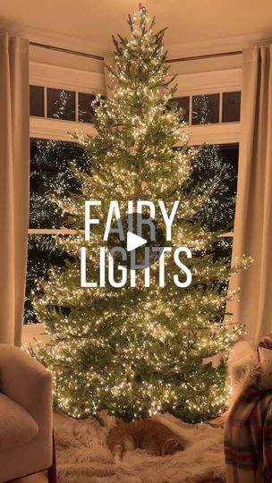 56K views · 171 reactions | I hung 5,760 twinkle fairy lights on our Christmas tree!!! 🌲🧚🏻✨ 
This took forever and I’m already DREADING taking them off but I’ve never seen anything more magical and will never not have them on our tree. Luke is obsessed too. I don’t even want to add ornaments it’s so beautiful!!!! 🥹 My lights are from @anthropologie. I used 6 strands on a 9ft. tree. They’re linked in my LTK as well as some more affordable options from Amazon with GREAT reviews! ✨ | Mary Beth Wilhelm Ornament With Fairy Lights, Just Lights Christmas Tree, Fairy Light Christmas Decor, Twinkle Lights On Christmas Tree, Twinkle Lights For Christmas Tree, Christmas Tree Only Lights, Christmas Tree Just Lights, Christmas Tree Fairy Lights, Twinkle Lights Christmas Tree