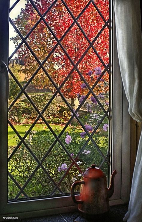 . Pictures Of England, Cottage Windows, Sunny Autumn, English Houses, English Cottages, English Country Cottage, English Interior, Window Grill, Autumn Morning