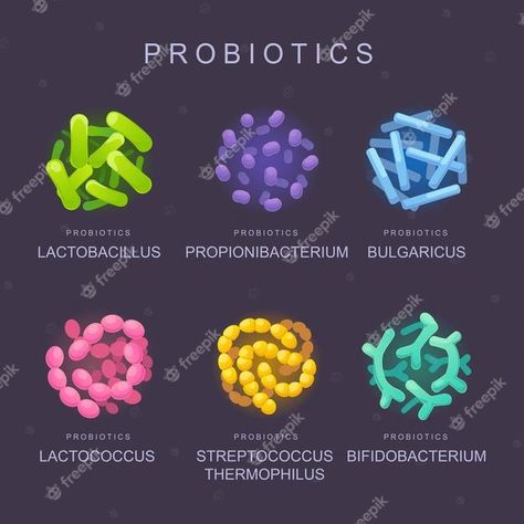 Beneficial bacteria probiotics microorganisms for human health Premium Vector Bacteria Types, Modern Logotype, Microscopic Cells, Dna Molecule, Medical Background, Lactobacillus Acidophilus, Beneficial Bacteria, Medical Illustration, Modern Logo Design