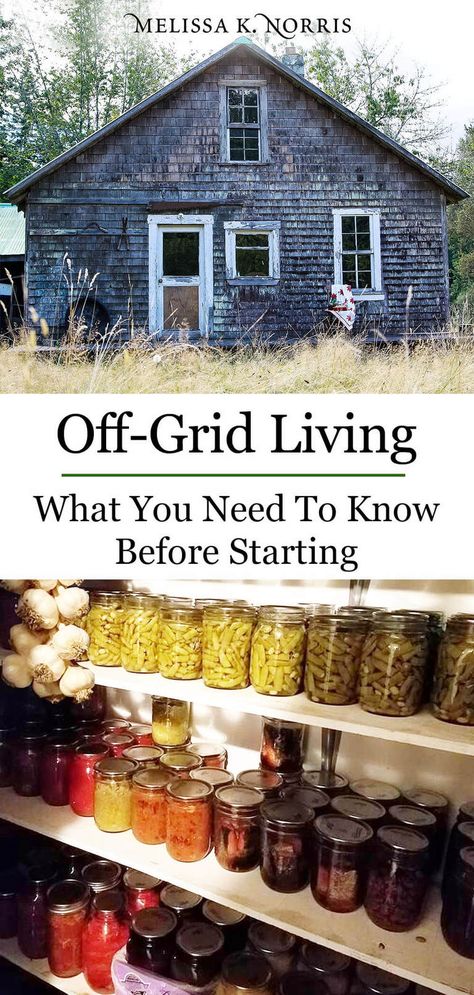 Off Grid Living: What You Need to Know before going off-grid, pros and cons, mistakes to avoid and tips to use now on your homestead even if you're not off-grid Off Grid Cooking Recipes, Tennessee Homestead, Zombie Prepping, Living In The Woods, Off Grid Homestead, Off Grid Survival, Off Grid House, Going Off The Grid, Homesteading Diy