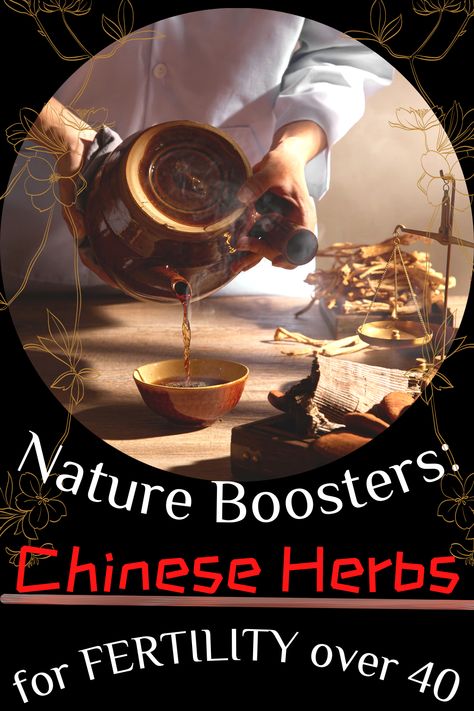 Chinese Medicine For Fertility, Herbs To Help Get Pregnant, Herbs For Fertility, Natural Fertility Boosters, Chinese Medicine To Get Pregnant, Supplements To Get Pregnant, Herbs To Avoid During Pregnancy, Supplements To Take While Pregnant, Egg Quality