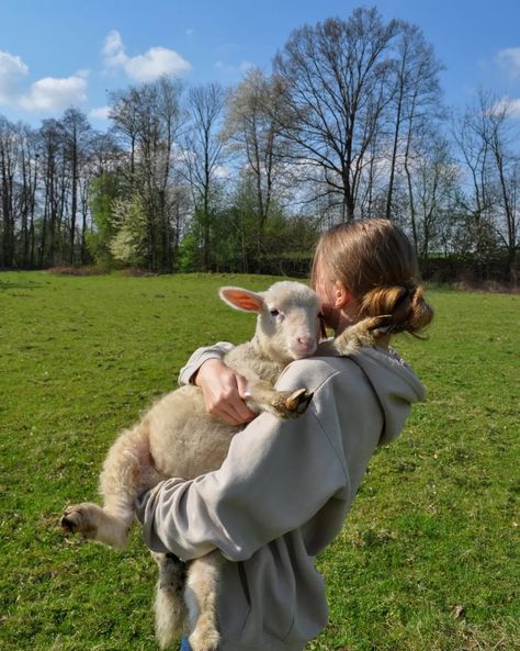 Sheep Cute Aesthetic, Sheeps Aestethic, Shepherd Aesthetic Sheep, Lamb Aesthetic, Sheep Aesthetic, Cute Lambs, Sheep Girl, Sheep Cottagecore, Sheep Pasture Aesthetic