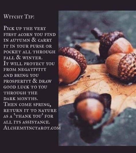 witchy tip Which Witch, Mighty Oaks, Eclectic Witch, Witch Spell, Baby Witch, Witch Magic, Wiccan Spells, Good Luck To You, Spells Witchcraft