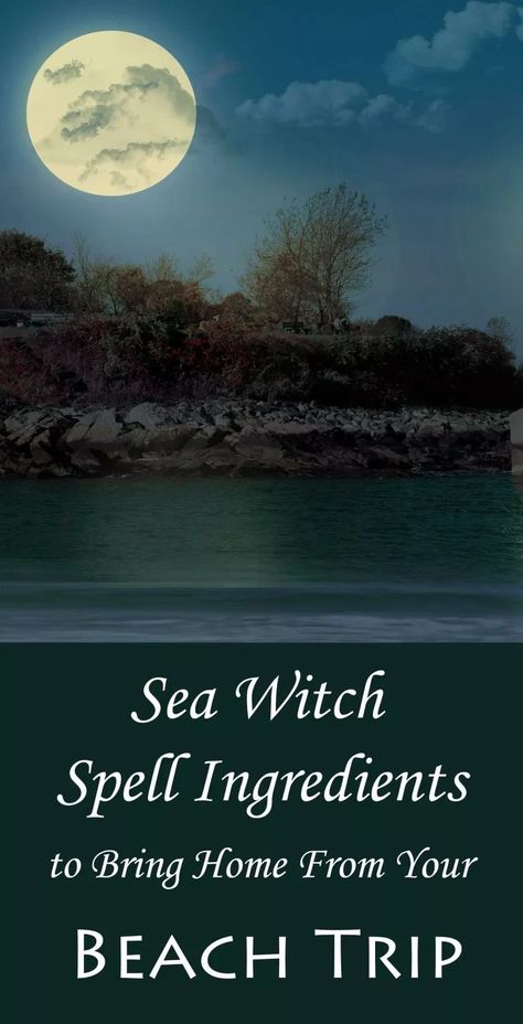 Sea Witch Spell Ingredients to Bring Home from the Beach - Moody Moons Sea Water Spells, Sea Witch Decor, Sea Witch Spells, Seashells Witchcraft, Witchcraft Ideas, Apothecary Room, Vanessa Ursula, Sea Witchery, Sea Witchcraft