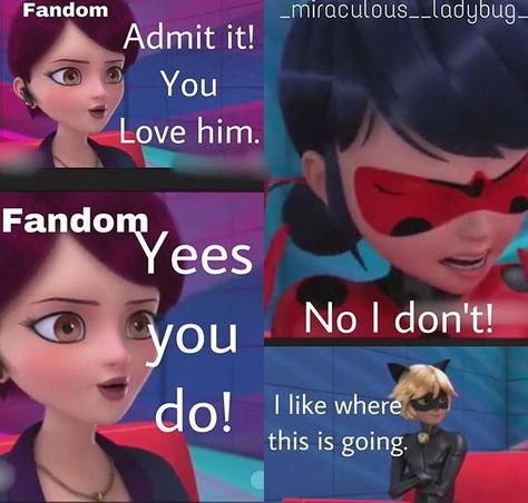 Ladynoir | The interview | Prime Queen Dogs Cuddling, Funny Miraculous, Family Hug, Comics Ladybug, Ladybugs Movie, Prairie Dogs, Marinette Ladybug, Miraculous Memes, Ladybug And Cat Noir