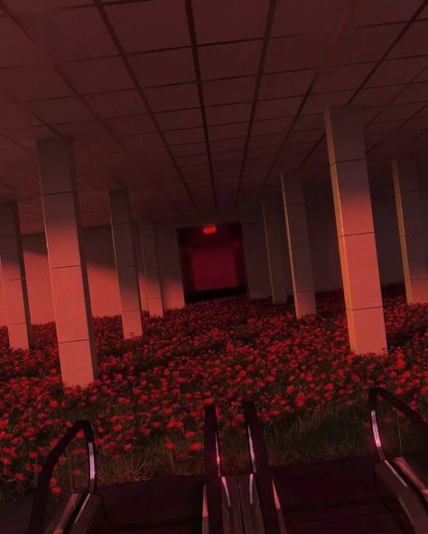 Flower Liminal Space, Liminal Space Garden, Dark Dreamscape Aesthetic, Weird Core Background, Backrooms Background, Flower Corridor, Backrooms Aesthetic, Dreamscape Architecture, Dream Core