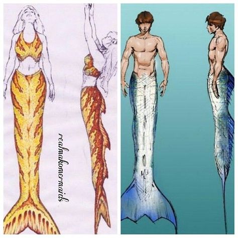 Mako Mermaids Tails, Merman Tails, Silicone Mermaid Tails, H2o Mermaids, Arte Monster High, Mako Mermaids, Mermaid Drawings, Mermaid Aesthetic, Ange Demon