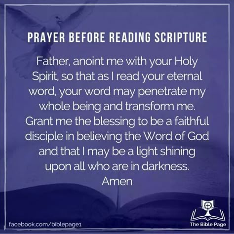 Prayer before reading scripture Prayer Before Reading The Bible, Bible Verse To Read, Reading Your Bible, Reading The Bible, St Jerome, Fast And Pray, Spiritual Warfare Prayers, Body Of Christ, Everyday Prayers