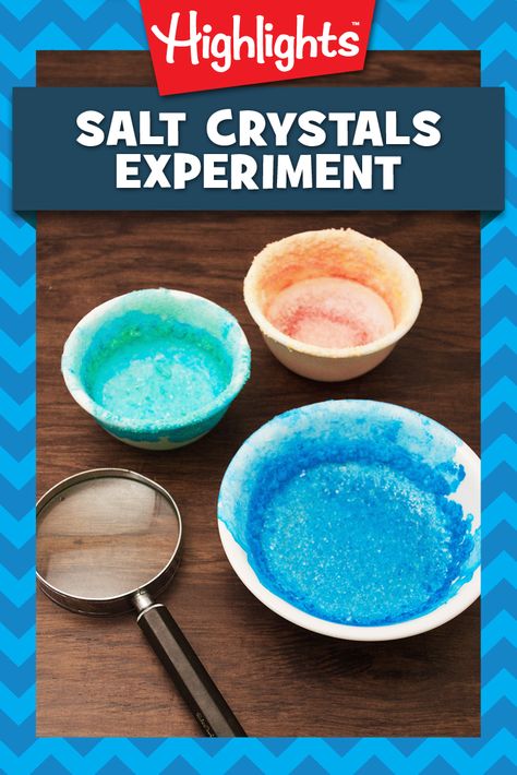 Have your young scientists explore the natural world by making their own tiny salt crystals with water and table salt. It’s a simple, low-cost, and fascinating experiment! Make Crystals, Kids Magazines, Experiment For Kids, How To Make Crystals, Salt Crystals, Salt Crystal, Table Salt, The Natural World, Magazines For Kids