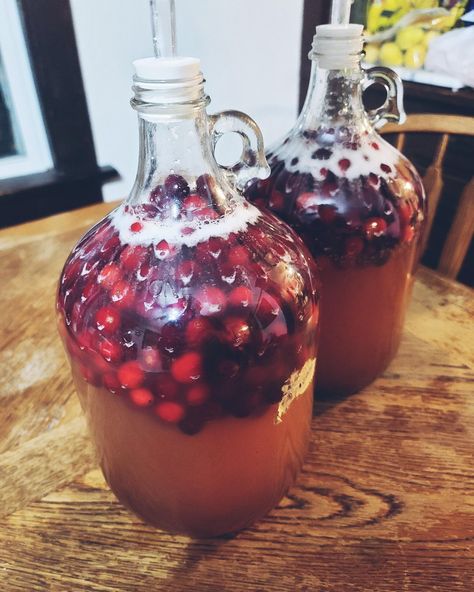 How to Make Orange Cranberry Chai Mead | The Ealy Homestead Cranberry Orange Mead, Orange Mead Recipe, Diy Mead Recipe, Cranberry Wine Recipe, How To Make Mead Recipes, Mead Making For Beginners, Apple Mead Recipe 1 Gallon, Cranberry Mead Recipe, Mead Recipes Homemade