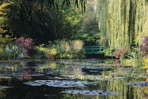 Pond With Bridge, Monet Japanese Bridge, Pond Aesthetic, Monet Wallpaper, Pond Photography, Claude Monet House, Taman Vintage, 숲 사진, Monet Garden