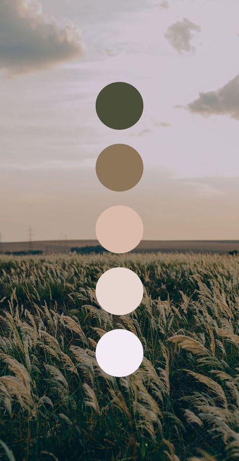 Instagram Colour Palette Theme, Chill Color Palette, Morning Color Palette, Zen Color Palette, Colors Moodboard, Graphic Design Color, Color Branding, Mixing Primary Colors, Marketing Colors