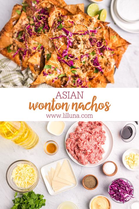 Won Ton Nachos Recipe, Asian Nachos Wontons, Wonton Nachos Asian, Won Ton Nachos, Wonton Nachos Recipe, Bulgogi Nachos, Asian Nachos, Wonton Nachos, September Meals