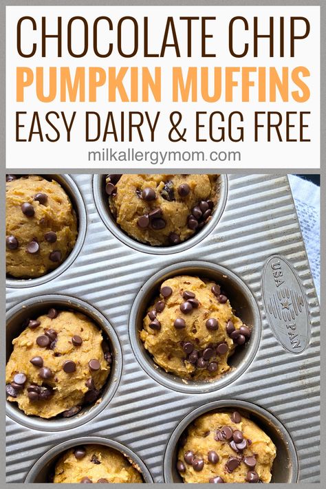 Dairy Free Pumpkin Muffins, Healthy Pumpkin Chocolate Chip Muffins, Egg Free Muffins, Peanut Free Desserts, Gluten Free Dairy Free Dinner, Milk Allergy Mom, Chocolate Pumpkin Muffins, Gf Snacks, Dairy Free Muffins