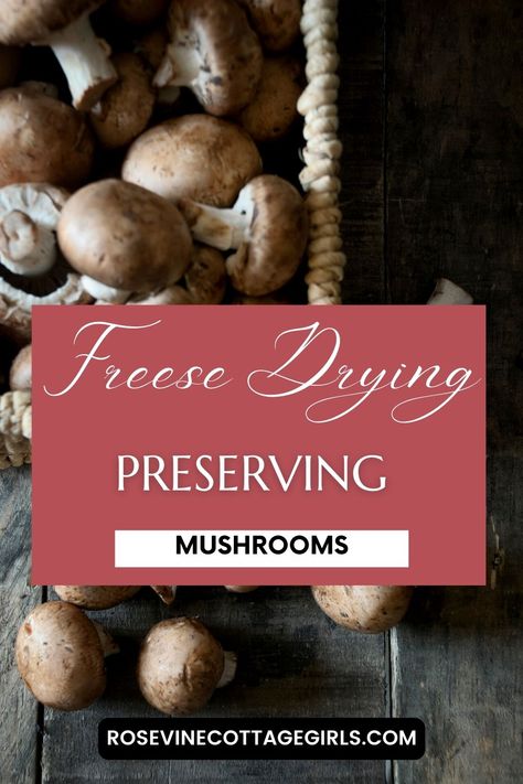 Freeze drying mushrooms is a great way to preserve them for long term storage. The process involves freezing the mushrooms, then using a vacuum chamber to remove the moisture. This results in a product that is lightweight, shelf-stable, and retains most of the flavor and texture of fresh mushrooms. Check out this easy tutorial and enjoy your delicious and shelf-stable mushrooms! Preserving Mushrooms, Drying Mushrooms, Mushroom Crafts, Dried Mushrooms, Roasted Mushrooms, Long Term Storage, Freeze Drying Food, Food Preservation, Freeze Drying