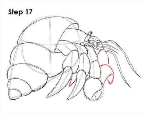 Animal Tutorial, Decor Marin, Crab Tattoo, Drawing Instructions, Crab Art, Drawing Designs, Watercolor Projects, Hermit Crab, Template Google