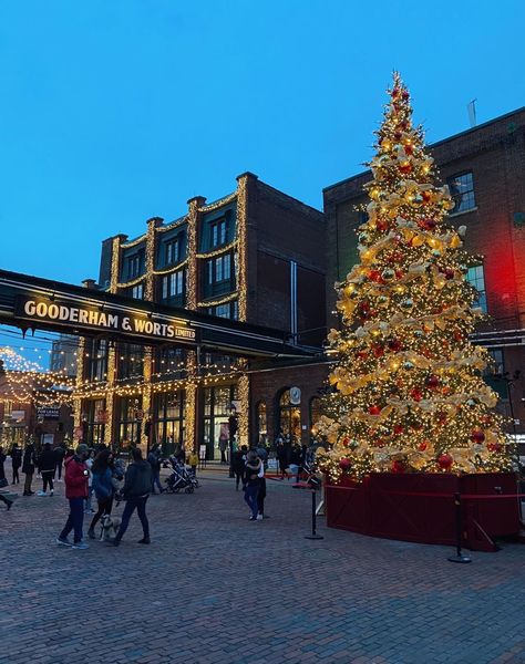 Family Aesthetic Christmas, Toronto Christmas Market, Friends And Family Aesthetic, Christmas Hangout, Lit Up Christmas Tree, Toronto In Winter, Christmas In Toronto, Winter In Toronto, Winter Toronto