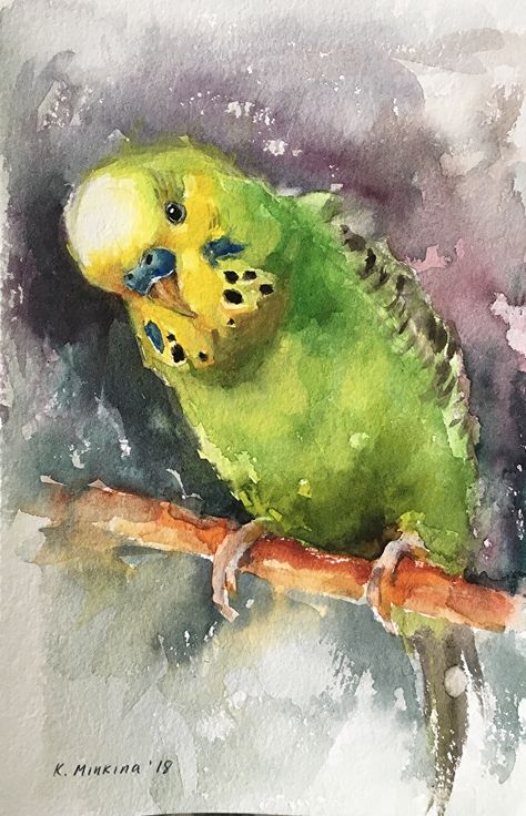 D416BEE6-B716-49E6-9011-C26EA620DA58 by Katya Minkina  ~ 6 x 8 Budgie Illustration, Katya Minkina, Parakeet Art, Bird Watercolor Paintings, Watercolor Birds, Bird Paintings, Afrique Art, Animal Artwork, Pastel Paintings