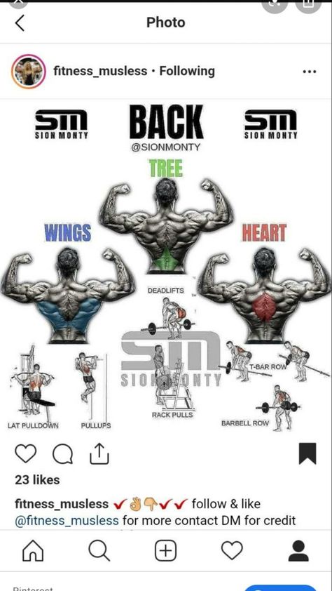 Wing Workout Men, Wings Workout For Men, Back Weight Exercises, Wings Workout, Back Workout Bodybuilding, Back Day Workout, Tree Heart, Weight Lifting Workouts, Gym Workouts For Men