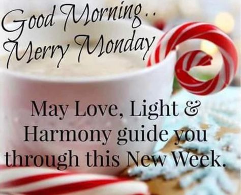 Monday Good Morning Wishes, Monday Morning Greetings, Merry Christmas Wishes Quotes, Monday New Week, Magic Monday, Monday Wishes, Good Morning Christmas, Christmas Wishes Quotes, Happy Monday Morning