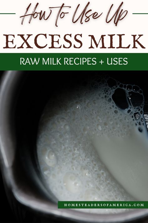 Is your kitchen covered in extra milk? Look through these raw milk recipes to get ideas for how to use it up without letting it go to waste! Skimmed Milk Recipes, What To Do With Extra Milk, Fresh Milk Recipes, Whole Milk Recipes Ways To Use, Recipes That Use A Lot Of Milk, Cheddar Cheese Recipes, Homemade Sour Cream, Cultured Butter, Letting It Go