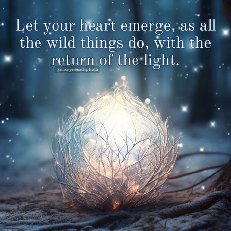 Winter Solstice Quotes Sayings Inspirations Meme Illustrations Artwork Magical Ethereal Charming Yule Quotes Winter Solstice, Winter Solstice Desserts, Yule Quotes, Winter Solstice Southern Hemisphere, Winter Solstice Meaning, Winter Solstice Aesthetic, Winter Solstice Quotes, Solstice Quotes, Inspiration Messages