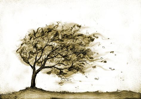 Tree in autumn storm. A storm in autumn blows leaves from a tree, whíte backgrou #Sponsored , #SPONSORED, #Sponsored, #storm, #Tree, #te, #blows Tree Line Drawing, Wind Tattoo, Wind Drawing, Storm Tattoo, Wild Is The Wind, Cloud Tattoo, Tree Sketches, Bare Tree, Leaf Drawing