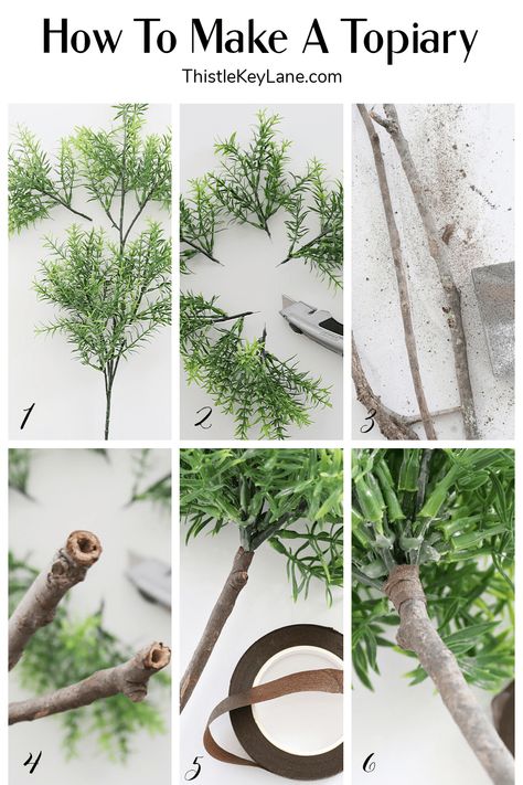 How To Create A Faux Topiary - See how easy it is to create realistic looking topiaries to decorate your home with just a few simple steps. DIY Realistic Faux Topiaries. Decorating With Topiaries. Spider Plant Topiary, Flowers On Porch, Diy Topiary Trees, Indoor Topiary, Topiary Decor, Flower Topiary, Diy Topiary, Faux Topiary, Topiary Centerpieces