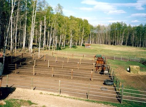 Horse pens, runs Horse Pasture Shelter, Ranch Layout, Pasture Shelter, Horse Turnout, Horse Pens, Horse Farm Ideas, Horse Paddock, Paddock Paradise, Horse Shelter