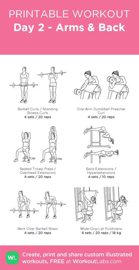 Day 2 - Arms & Back  – illustrated exercise plan created at WorkoutLabs.com • Click for a printable PDF and to build your own #customworkout Gym Weekly Workout Plan, Planet Fitness Workout Plan, Workout Videos For Men, Gym Workouts Machines, Leg Workouts Gym, Workout Videos For Women, Workout Labs, Fitness Studio Training, Printable Workout