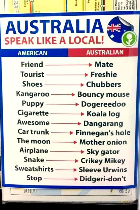 Australian Memes Funny, Australia Humor, Memes Sarcasm, Aussie Memes, Funny Aussie, Australian Memes, Meanwhile In Australia, Australian Slang, Funny Australian