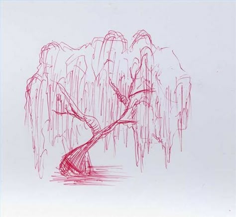 I find this one of the most expressive trees, there's something about the way it falls - September 3, 2015 Willow Tree Tattoos, Tattoos Drawing, Drawing Hands, Tree Sketches, Wallpaper Retro, Weeping Willow, Drawing Faces, Art Tree, Arte Inspo