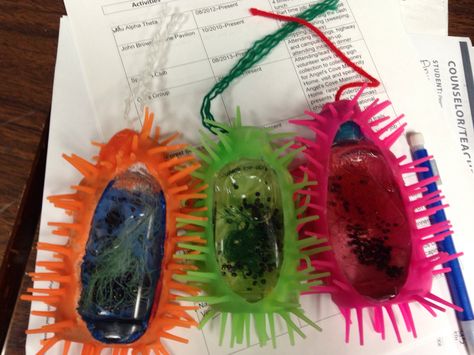 Prokaryotic cell models made by my students with beads, thread, and hand sanitizer. They're so creative! Prokaryotic Cell Model, Prokaryotic Cell, Science Cells, Cells Project, Biology Projects, Biology Classroom, Cell Model, Biology Labs, High School Biology