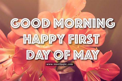 Good Morning, Happy First Day Of May may good morning may quotes happy first day of may happy first day of may quotes good morning happy first day of may Good Morning Happy May 1st, First Day Of May Blessings, Happy First Day Of May, May Quotes, May Days, Happy May, Weekday Quotes, 1st Day, School Related