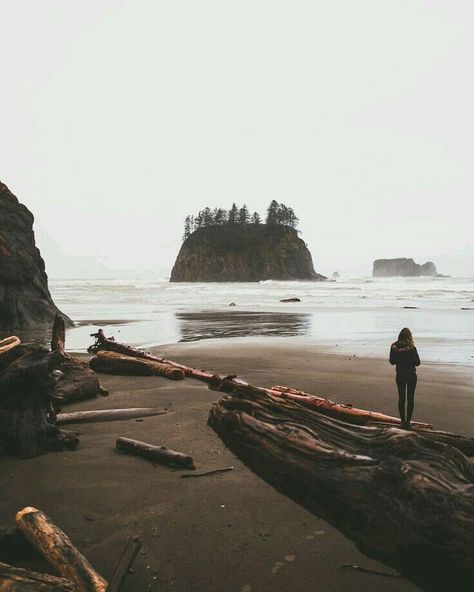 folklifestyle Mount Rainier National Park, Sea Witch, Land Scape, Pacific Northwest, The Great Outdoors, Outdoors Adventure, Trekking, The Ocean, Places To See