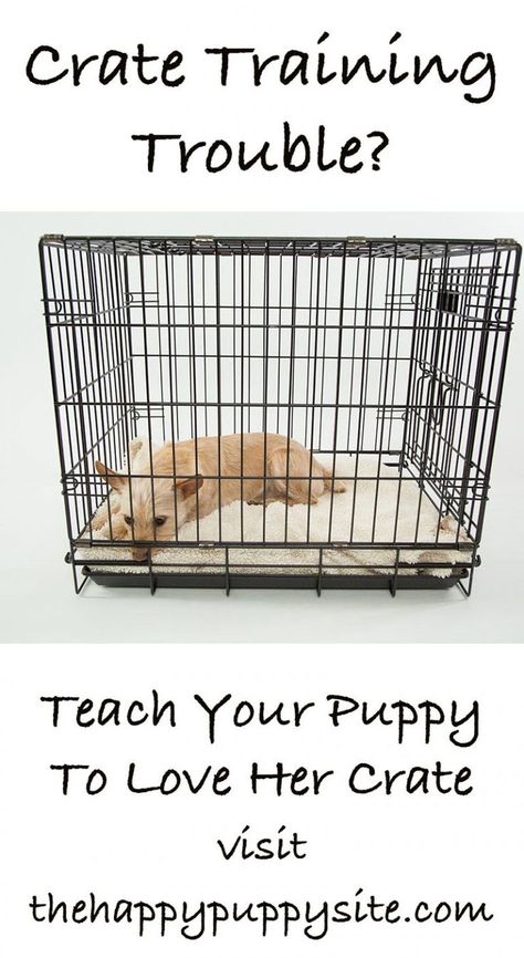 Your Ultimate Expert Guide To Crate Training A Puppy Training A Puppy, Crate Training Puppy, Puppy Crate, Dog Minding, Puppy House, Easiest Dogs To Train, Puppy Training Tips, Best Puppies, Crate Training