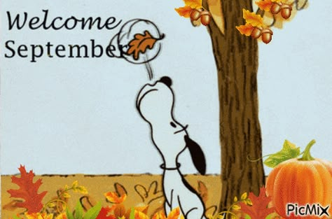 Snoopy Blowing Leaf Welcome September Gif september hello september september quotes september images september gifs september pics September Quotes Autumn, Hello September Quotes, Hello Fall Quotes, September Hello, September Pictures, September Images, September Quotes, Welcome September, Animation Quotes