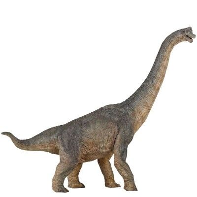 Long Neck Dinosaur, Giant Dinosaur, Prehistoric World, Dinosaurs Figures, Dinosaur Art, Prehistoric Creatures, Prehistoric Animals, Dinosaur Toys, Tyrannosaurus Rex