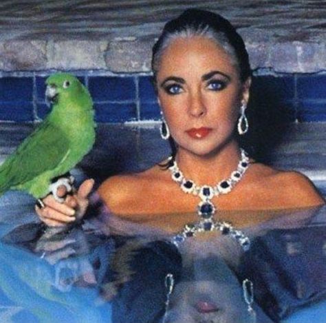 Liz Smith, Elizabeth Taylor Jewelry, Liz Taylor, Photography Color, Helmut Newton, Violet Eyes, Elsa Peretti, Actrices Hollywood, Norma Jeane