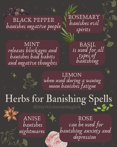 Herbs for Banishing Spells! Whatever you wish you get rid of in your life these are some easily accessible items that can be used in any spell or ritual. Use them as an oil to anoint a candle, roll a candle in dried herbs, or use fresh herbs to leave as offerings during a ritual for banishing. 🌿✨🌙🌱 . . . #banishingspell #spells #rituals #herbs #witchy #witches #witchcraft #witch #mystic #moss #magick #magic #herbwitch #greenwitch #hedgewitch #kitchenwitch #candlespells #altar #offerings #fore... Banishing Herbs Witchcraft, Magic Oils Witch, Binding Herbs Witchcraft, Banishing Herbs Magick, Banishing Jar Spell, Herbs For Truth Spell, Cleansing Herbs Witchcraft, Banishing Spells Witchcraft, Candle Ritual Witchcraft