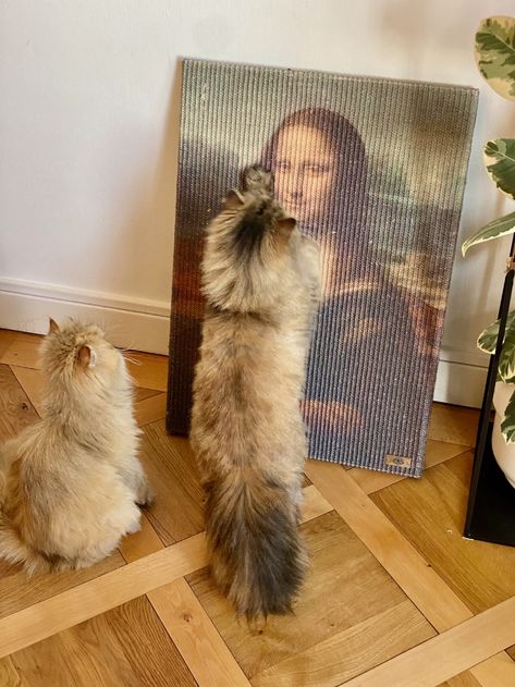 Copycat Mona Lisa Cat Scratcher Ikea Cat Bed, Lisa Cat, Ikea Cat, Diy Cat Scratcher, Diy Cat Tower, Chat Diy, Cat Needs, Cat Tree House, Cat Scratchers