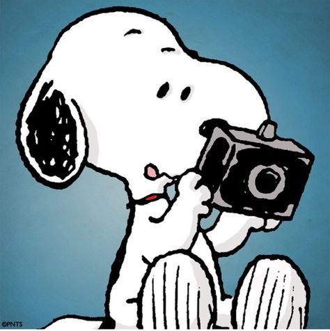 Snoopy camera Fun Snaps, Charles Shultz, Snapchat Add, Camera Cartoon, Woodstock Snoopy, Baby Snoopy, Snoopy Cartoon, Snoopy Funny, Peanuts Snoopy Woodstock