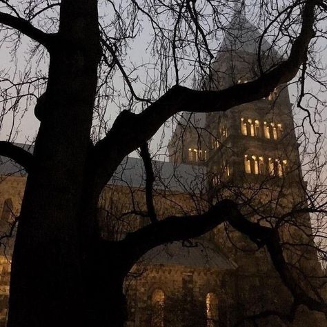 Oxford Dark Academia, Dark Acadamia, Chaotic Academia, Aesthetic Dark Academia, Hogwarts Aesthetic, Image Swag, Dark Autumn, Phone Ideas, Harry Potter Aesthetic