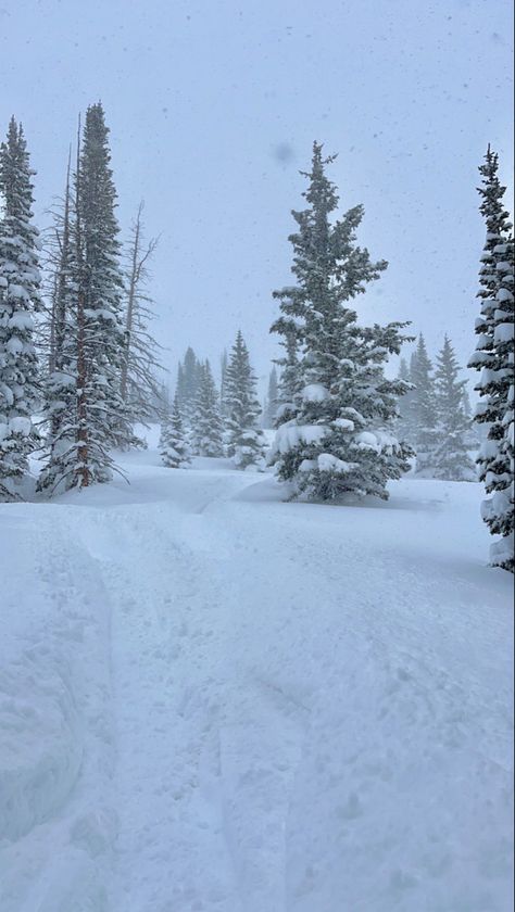 snowy range // mountains // sled // sledding // snowmobile // WYO // wyoming // laramie // cheyenne // skiing // snowskiing // Sledding Snowmobile, Favorite Weather, The Cowboy, Snowmobile, Sled, Wyoming, The Mountain, Skiing, Cowboy