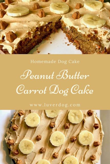 Peanut Butter and Carrot Dog Cake Carrot Dog Cake, Peanut Butter Dog Cake, Buscuit Recipe, Homemade Dog Cake, Dog Safe Cake Recipe, Dog Cake Recipe, Treat Business, Dog Cake Recipes, Animal Treats