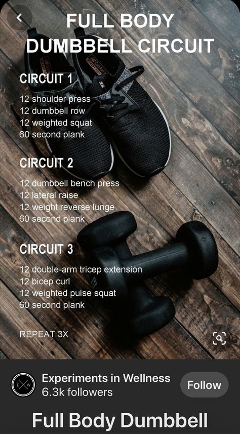 Autoimmune Workout Plan, New Years Eve Workout, Crossfit Circuit Workout, Dumbbell Superset Workout, Workouts For Over 50, Lift Heavy Women Workout, Dumbell Circuits, Wod Workouts At Home, Dumbell Circuit