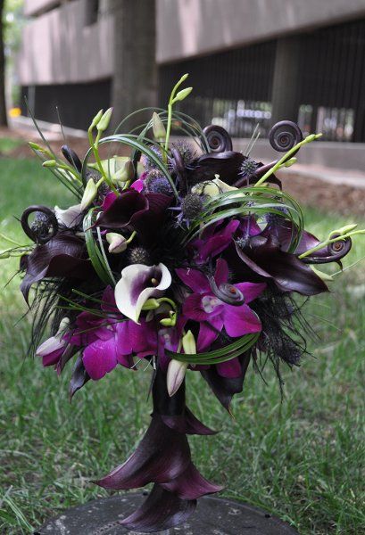 WILD! This wild bouquet highlights a calla lily handle accent, black feathers, fern shoots and dendrobium orchids. Black Bouquet, Fall Purple, Halloween Themed Wedding, Dendrobium Orchids, Unique Wedding Flowers, Goth Wedding, Purple Wedding Flowers, Dark Wedding, Theme Halloween