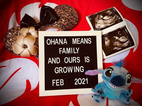 Stitch Pregnancy Announcement, Star Wars Pregnancy Announcement, Disney Pregnancy Announcement, Disney Gender Reveal, Pregnant Announcement, Disney Maternity, Gender Reveal Baby Shower Themes, Winter Baby Shower Themes