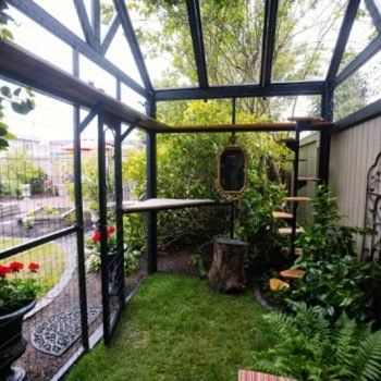 Catios & Cat Enclosures - Purrfect Love Cat Structures, Plant Sunroom, Katt Grejer, Balkon Decor, Cat Patio, Cat Cage, Outdoor Cat Enclosure, Cat Run, Cat House Diy