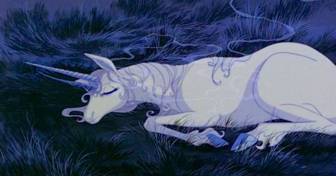 Sleeping unicorn Last Unicorn, The Last Unicorn, A Unicorn, The Grass, In The Dark, White